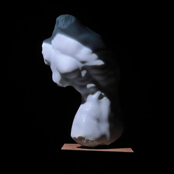 A cover of "life" cluster. The owner is moritzkindler. The cluster consists of 8 elements.