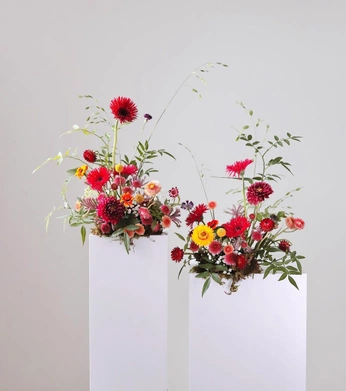 A cover of "Florals" cluster. The owner is axilandoak. The cluster consists of 3 elements.