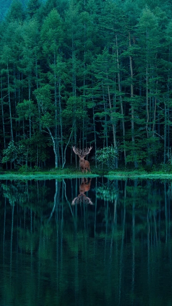 A cover of "My" cluster. The owner is karolina265. The cluster consists of 1 element.