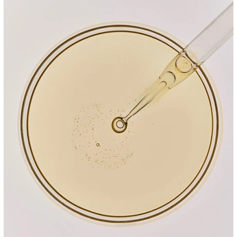 A cover of "Sacred Sun" cluster. The owner is xcxxp. The cluster consists of 195 elements.