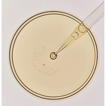 Cover of Sacred Sun cluster