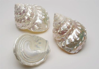 A cover of "☁️🕊️" cluster. The owner is dalisaadamin. The cluster consists of 2 elements.