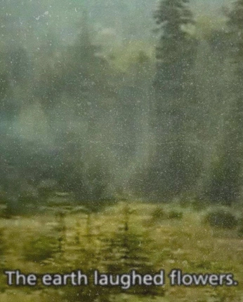 A cover of "Quiet Noise" cluster. The owner is noa222. The cluster consists of 36 elements.