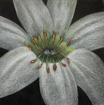 A cover of "art inspo" cluster. The owner is arinapicaso. The cluster consists of 6 elements.