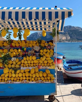 A cover of "summer" cluster. The owner is avalle. The cluster consists of 7 elements.