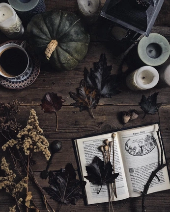 A cover of "home" cluster. The owner is aliendeathqueen. The cluster consists of 37 elements.