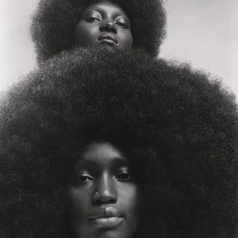 A cover of "Black power" cluster. The owner is cookiefraise. The cluster consists of 37 elements.