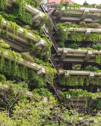 A cover of "Naturalia" cluster. The owner is kalebmikeska. The cluster description is "Nature has a power to reclaim and rebuild even inorganic matter". The cluster consists of 3 elements.