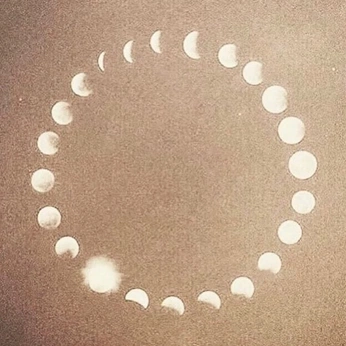 A cover of "Feminine" cluster. The owner is nsmyth. The cluster consists of 56 elements.