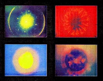 A cover of "symbiotic" cluster. The owner is esquivestudio. The cluster consists of 25 elements.