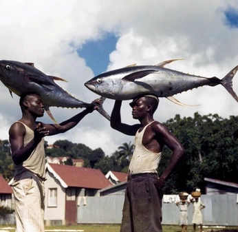 A cover of "Mood" cluster. The owner is taeant. The cluster consists of 69 elements.