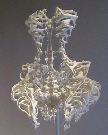 A cover of "the anthill(blog)" cluster. The owner is mawmaw. The cluster consists of 15 elements.