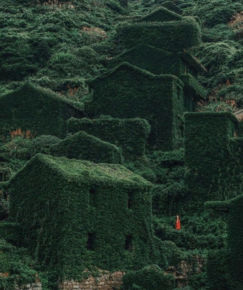 A cover of "urth matter" cluster. The owner is gadz852. The cluster consists of 4 elements.