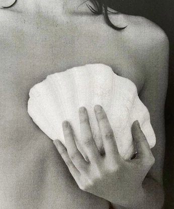 A cover of "Insta" cluster. The owner is byleonie. The cluster consists of 3 elements.