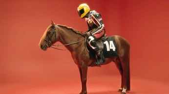 A cover of "Painting Stills" cluster. The owner is leyuzu. The cluster consists of 34 elements.