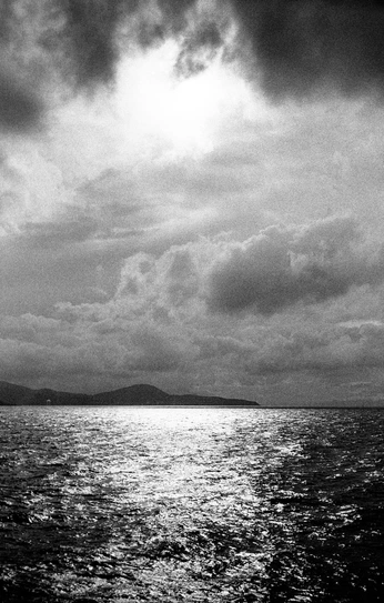 A cover of "Images" cluster. The owner is timmywee. The cluster consists of 70 elements.