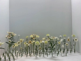 A cover of "Flowers" cluster. The owner is ourtruenature. The cluster consists of 10 elements.