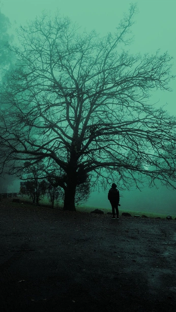 A cover of "ideas" cluster. The owner is spookysushi. The cluster description is "cool things i'm saving for later 💡". The cluster consists of 1 element.