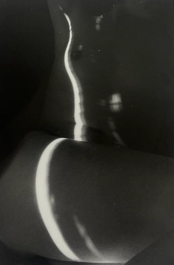 A cover of "Mujer" cluster. The owner is vwolfermann. The cluster consists of 35 elements.