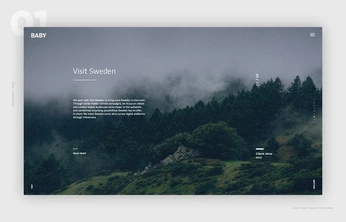 A cover of "Website" cluster. The owner is ronay. The cluster consists of 2 elements.