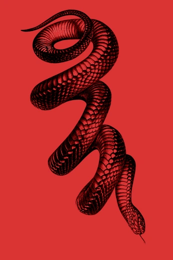 A cover of "POSTER" cluster. The owner is vandrefernandes. The cluster consists of 19 elements.