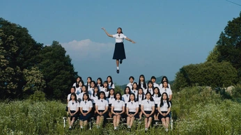 A cover of "💿" cluster. The owner is senowtf. The cluster consists of 41 elements.