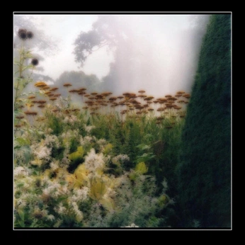 A cover of "parco cimitero" cluster. The owner is lrnztbrz. The cluster consists of 33 elements.