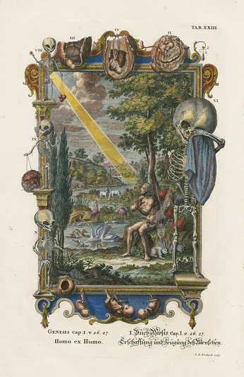 A cover of "Book paints" cluster. The owner is delvalle. The cluster consists of 1 element.