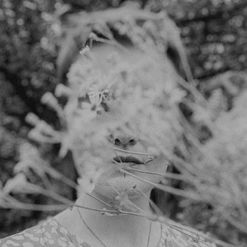 A cover of "POETICA" cluster. The owner is klarafoldys. The cluster description is "such are the moments that steal time, never to be forgotten again". The cluster consists of 30 elements.