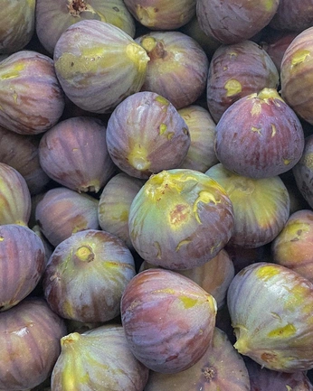 A cover of "fruit" cluster. The owner is watermelonapples. The cluster consists of 5 elements.