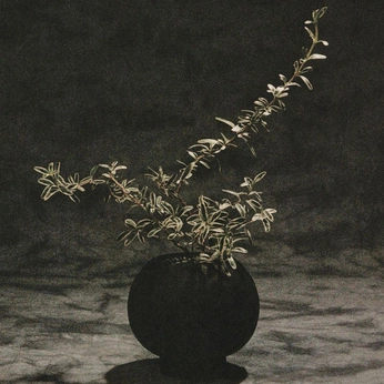 A cover of "ML" cluster. The owner is rosest. The cluster consists of 41 elements.