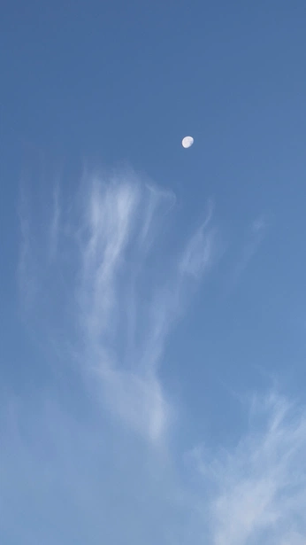 A cover of "sentiment forme harmonie" cluster. The owner is nikossss. The cluster consists of 54 elements.