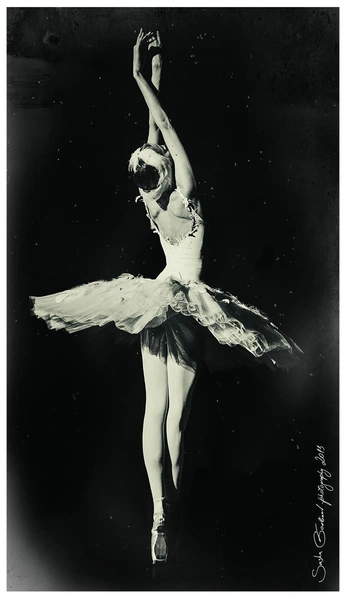 A cover of "Trust In Yours" cluster. The owner is awade. The cluster consists of 24 elements.