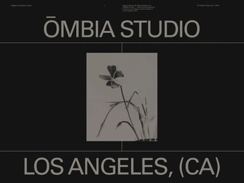 A cover of "Visual System" cluster. The owner is blurredbox. The cluster consists of 33 elements.