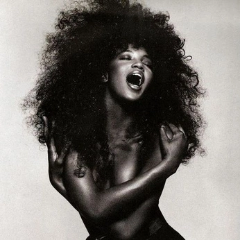 A cover of "IDOLE" cluster. The owner is ambree. The cluster description is "idole de style ". The cluster consists of 29 elements.