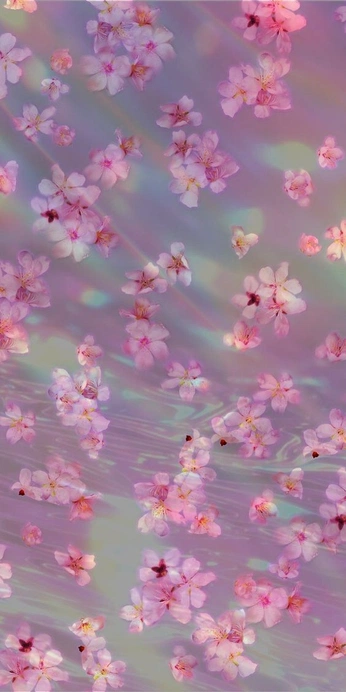 A cover of "wallpapers" cluster. The owner is angel.a. The cluster consists of 11 elements.