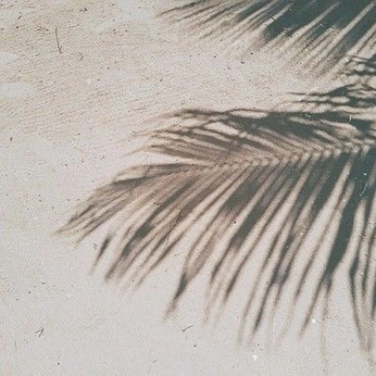 A cover of "Beach" cluster. The owner is curatedl.life. The cluster consists of 71 elements.