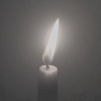 A cover of "voyage voyage" cluster. The owner is vortice. The cluster consists of 19 elements.