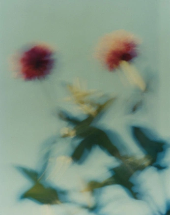 A cover of "Colourx" cluster. The owner is mashhh. The cluster consists of 1 element.