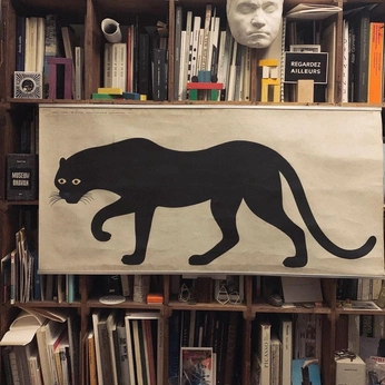 A cover of "paint" cluster. The owner is fanxxx. The cluster consists of 2 elements.