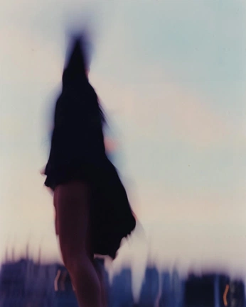 A cover of "MISC" cluster. The owner is lilyrsteiner. The cluster consists of 320 elements.