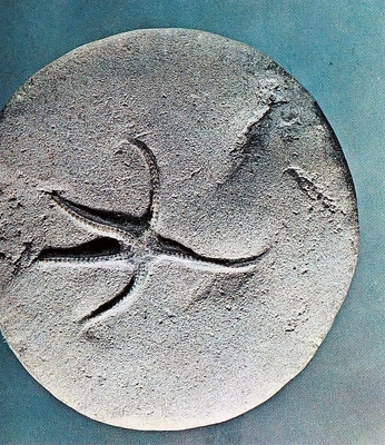 A cover of "arch" cluster. The owner is itsmadz. The cluster consists of 5 elements.