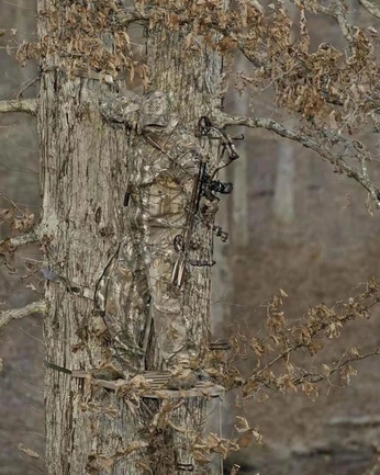 A cover of "Realtree" cluster. The owner is hourlyrates. The cluster consists of 13 elements.