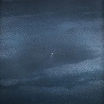 A cover of "dispair," cluster. The owner is rosheai. The cluster consists of 27 elements.