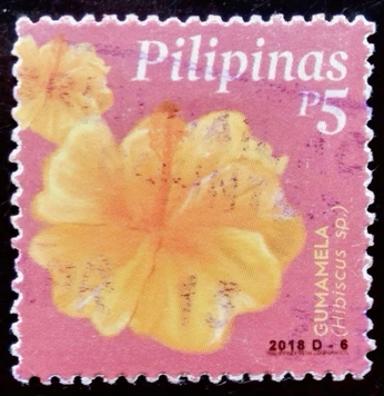 A cover of "SDC" cluster. The owner is kidmade. The cluster consists of 3 elements.