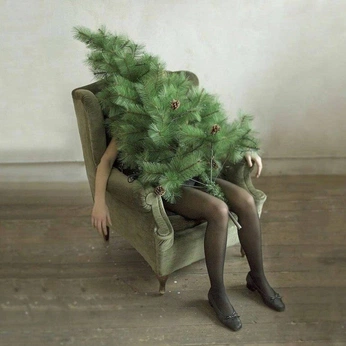 A cover of "Seasonal depression" cluster. The owner is greenpochita. The cluster consists of 14 elements.