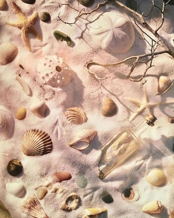 A cover of "summer" cluster. The owner is claryfrayy. The cluster consists of 7 elements.