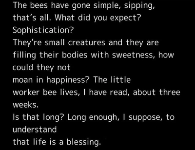 An Instagram carousel post added by colindancel on Apr 05, 2023. The author is @3rdritual.