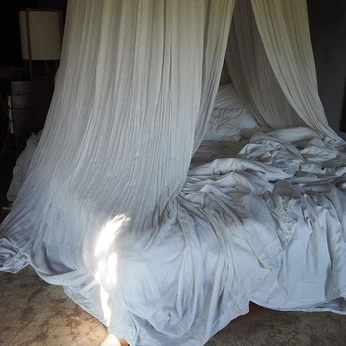 A cover of "home alone" cluster. The owner is liyv. The cluster consists of 592 elements.