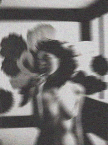 A cover of "Inspi - photo" cluster. The owner is constit. The cluster consists of 2 elements.